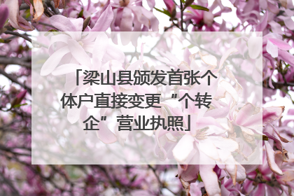 梁山县颁发首张个体户直接变更“个转企”营业执照